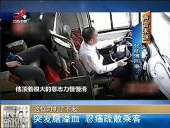 国产乘客影评在线观看视频,视频深度解析，带你领略国产电影魅力