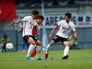 国产前锋比赛视频,激情四溢的进球瞬间