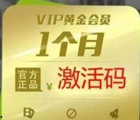 国产免费vip视频在线观看