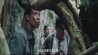 国产野战在线观看视频,热血激战，在线观看，燃情再现