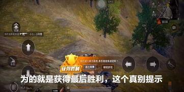 国产游戏吐槽沙雕视频,沙雕视频中的欢乐与槽点