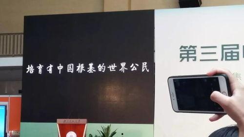 国产教育片视频,国产教育片中的教育启示录