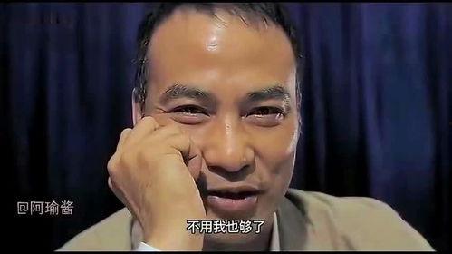 国产黑势力电影解说视频,揭秘黑暗势力背后的惊心动魄