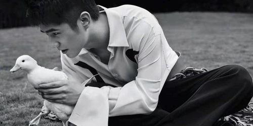 国产男人同性视频,细腻情感与真挚友谊的交织