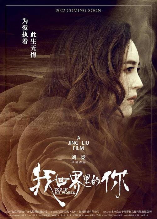 殡葬国产电影推荐大全视频