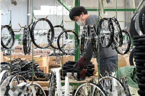 国产自行车抢购视频,全民骑行新风尚