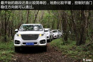国产神车 越野视频,勇闯极限，征服山川
