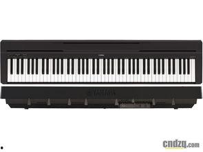 国产电子钢琴视频  第2张