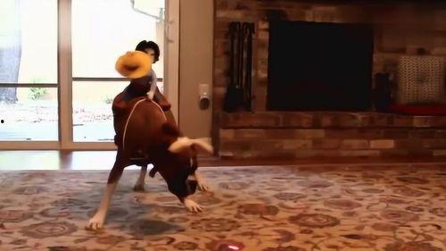 外国人看国产剧搞笑视频,笑翻外国友人的国产剧搞笑瞬间大盘点